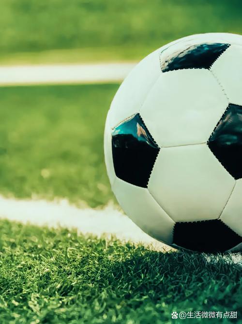 用户使用平台查询足球比赛结果场景